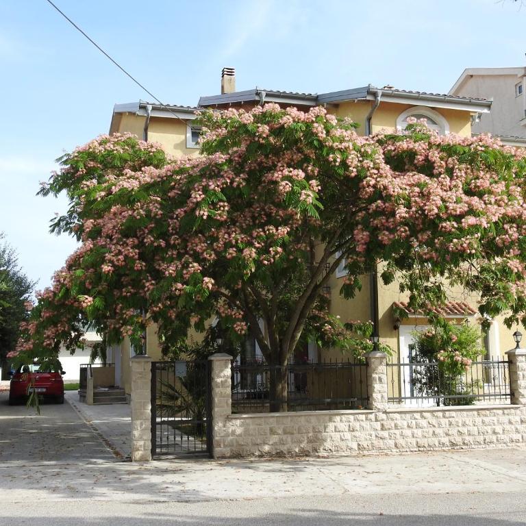 Luna Apartments - Apartman sa 2 Spavaće Sobe - 1