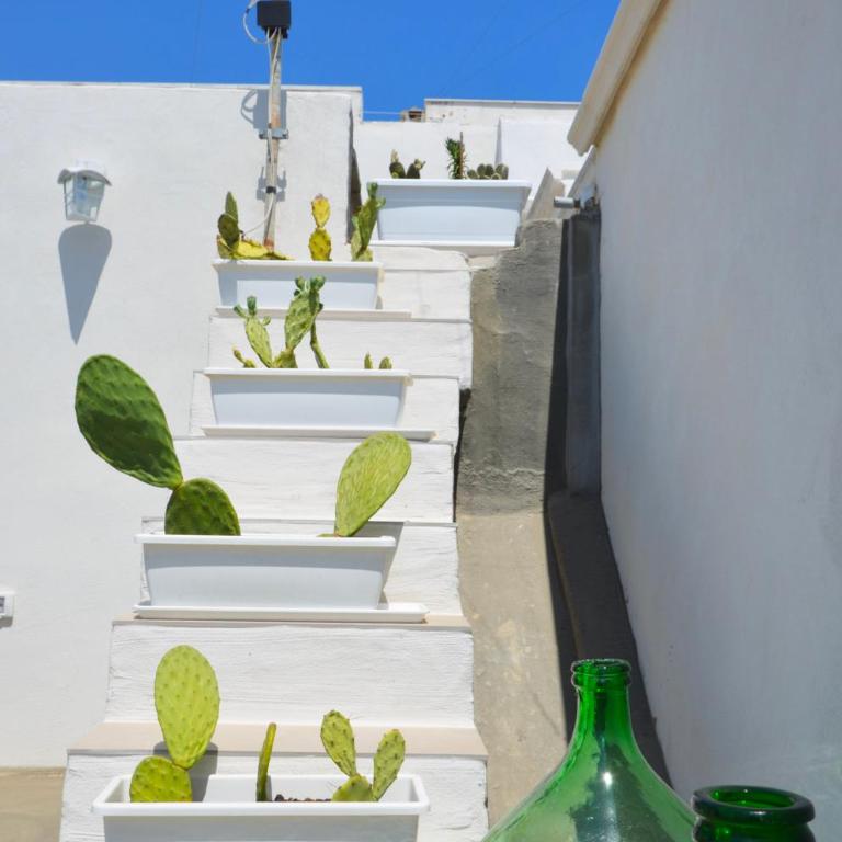 Dimora Apuliae• Dimora di Puglia - Casa Vacanze - 38