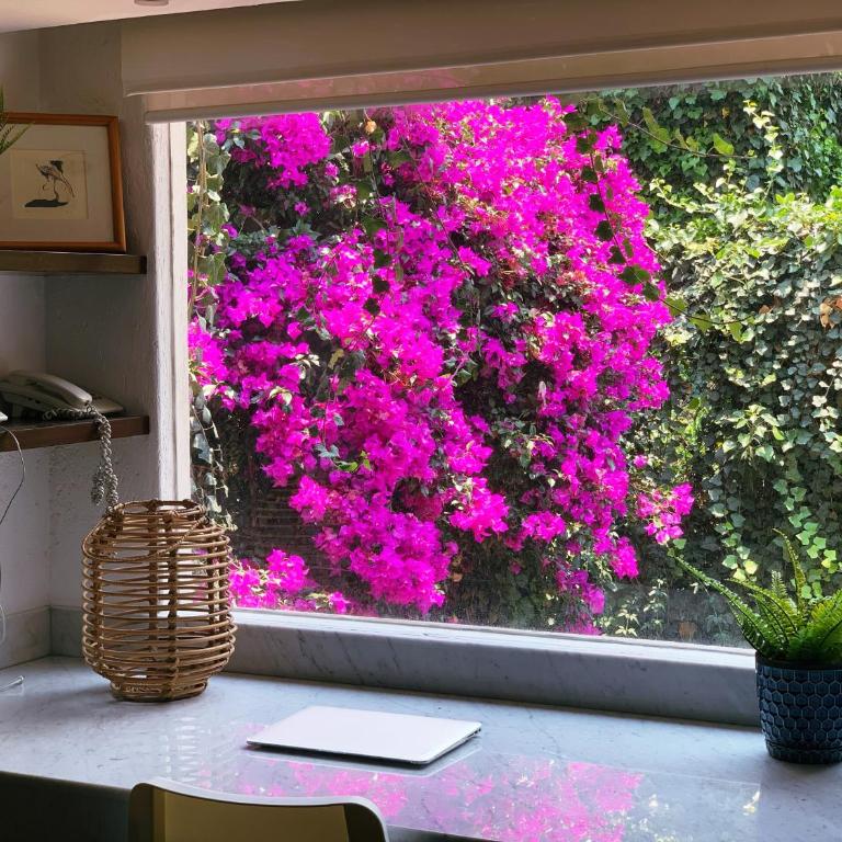 Casa San Angel Inn Boutique charming house - Two-Bedroom House - 5