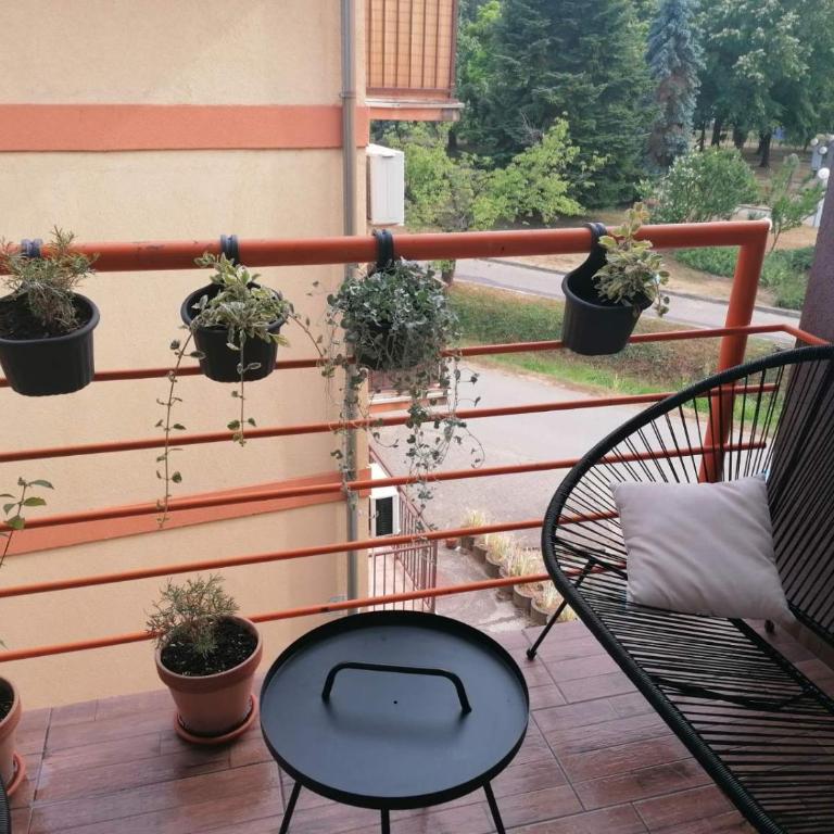 KoKo apartman - Apartman sa 1 Spavaćom Sobom - 4