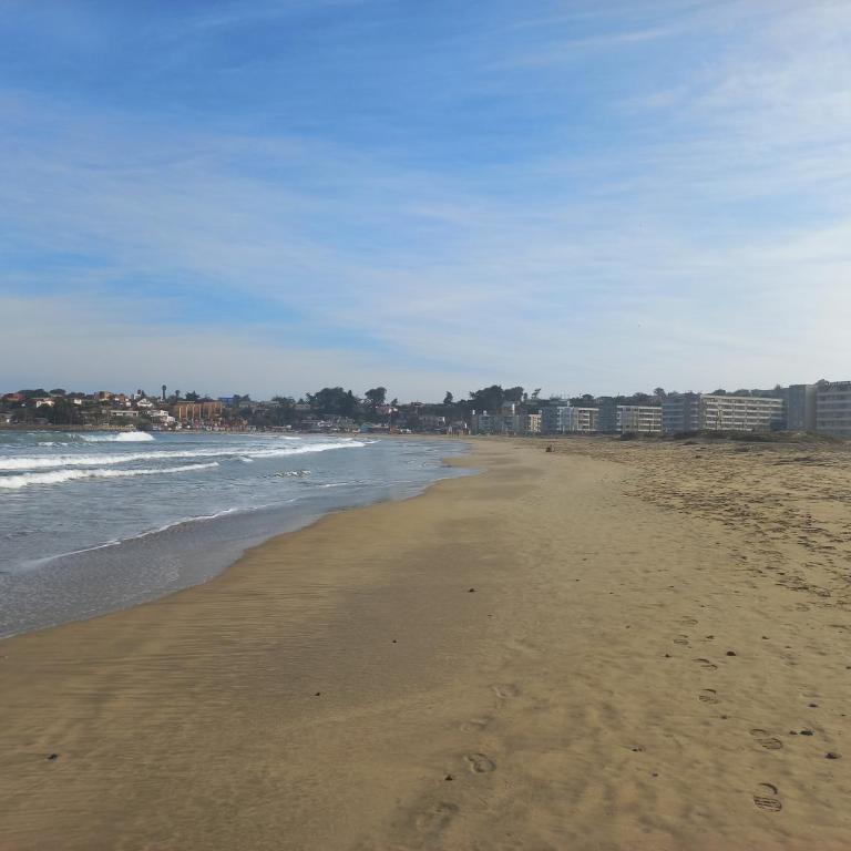 vista playa los molles - Two-Bedroom Apartment - 11