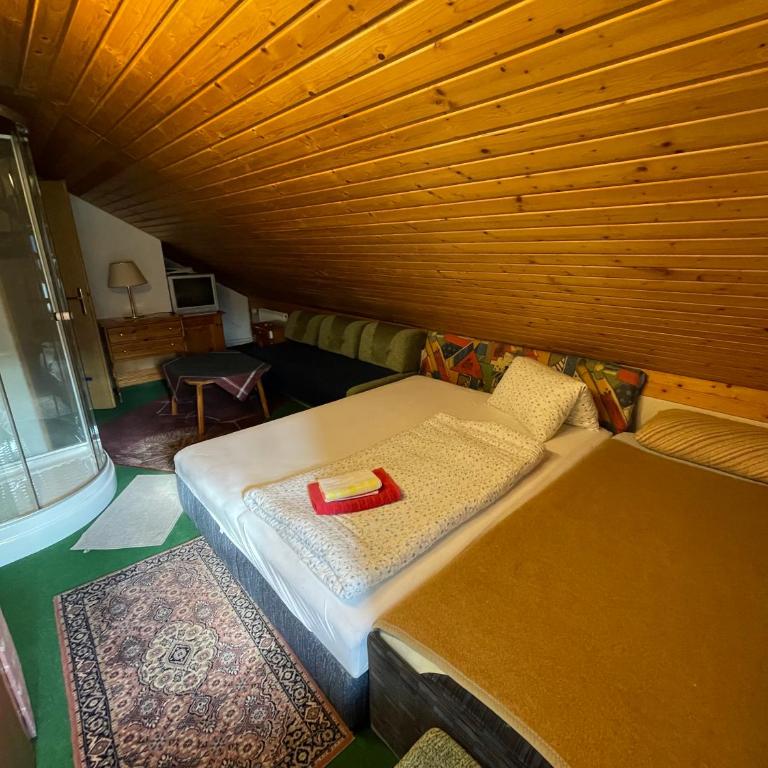 Haus Schwarzenbach - Doppelzimmer mit Zustellbett - 1