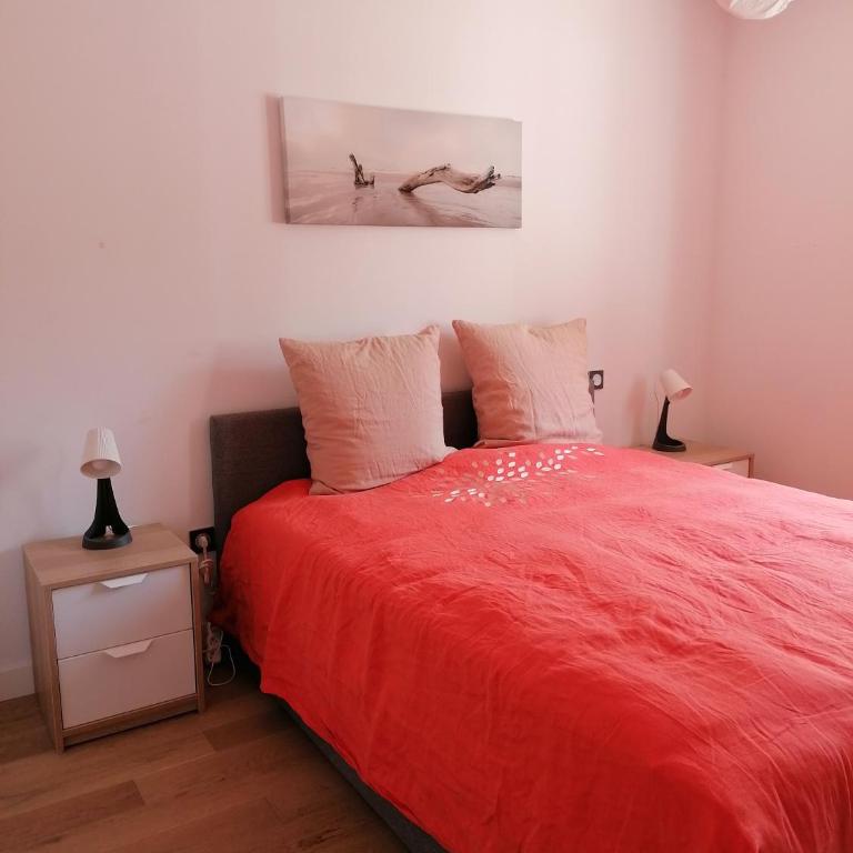Superbe appartement face au lac d'Hossegor - Appartamento con Terrazza - 9