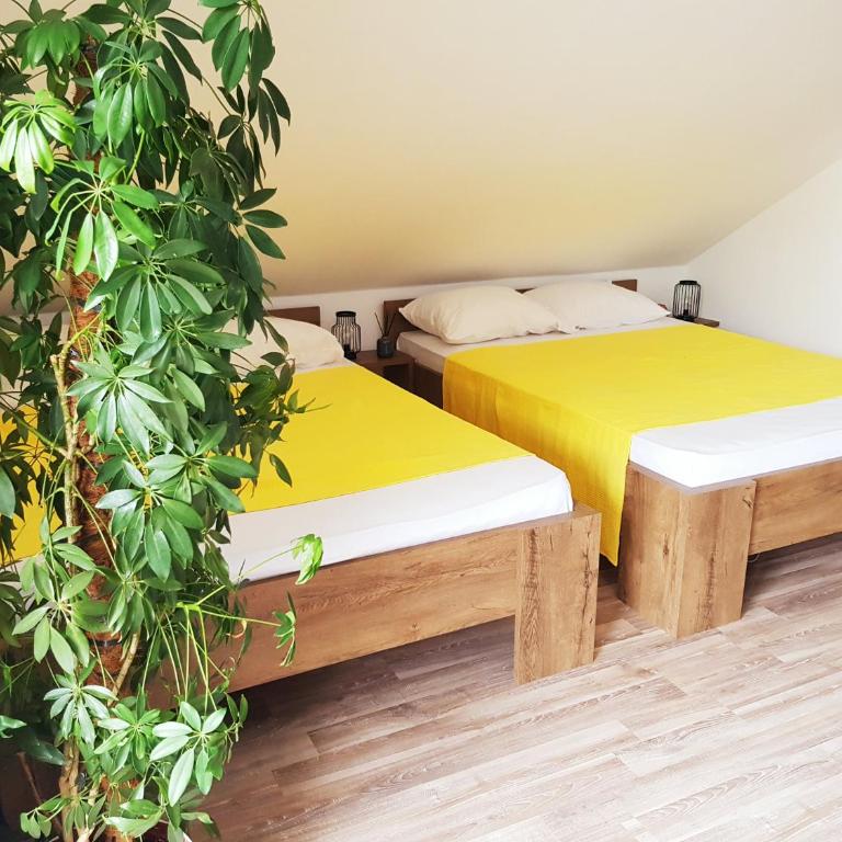 Sun's Ray Apartment - One-Bedroom Apartment - 13