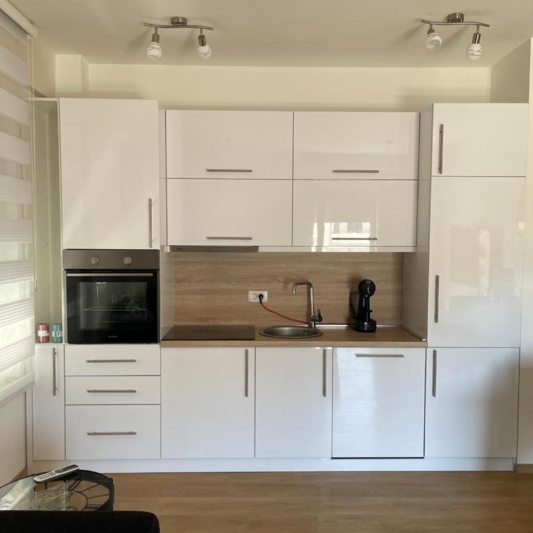 Anja Lux Apartman - Apartman sa 1 Spavaćom Sobom - 15