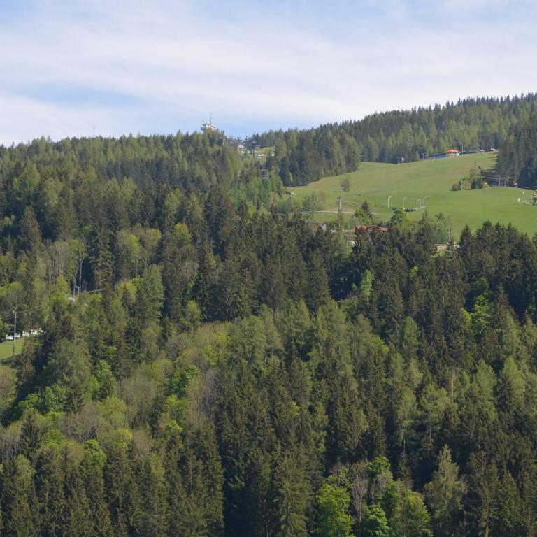 Haus Pitzer/Apartments Troicher - Apartment mit 1 Schlafzimmer und Bergblick - 10