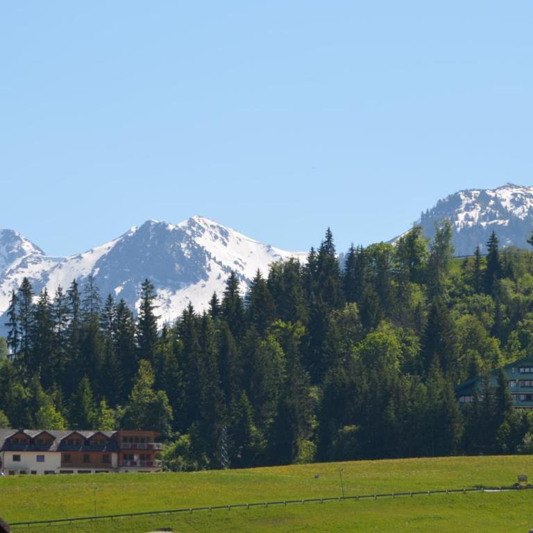 Haus Pitzer/Apartments Troicher - Apartment mit 1 Schlafzimmer und Bergblick - 9