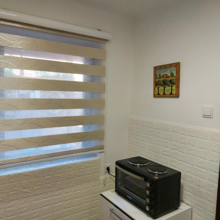 Lovely, neat and quite apartment Dalia, private parking - Apartman sa Terasom - 11