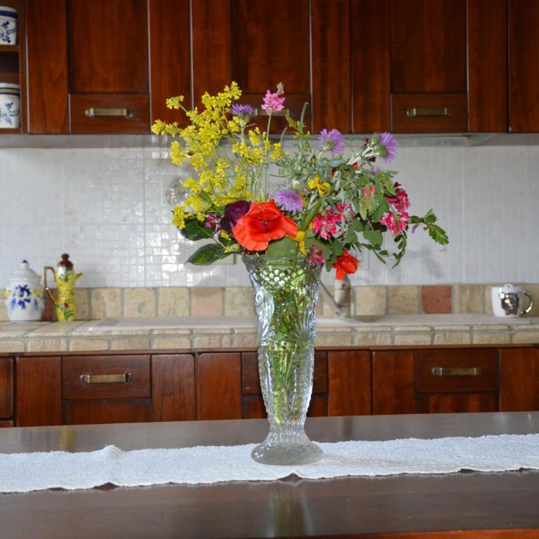 Agriturismo Corte Dainelli - Appartamento con 1 Camera da Letto - 19