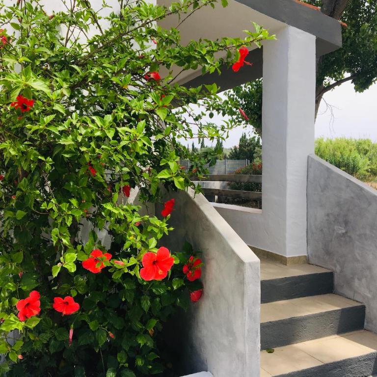 Villa Cedrino Orosei - Casa Vacanze con 3 Camere da Letto - 2