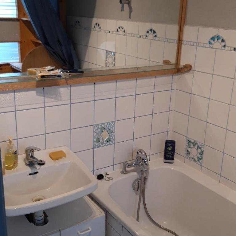 Les Jonquilles: gîte 8/10 pers. avec vue imprenable! - Appartement avec Vue sur la Montagne - 24