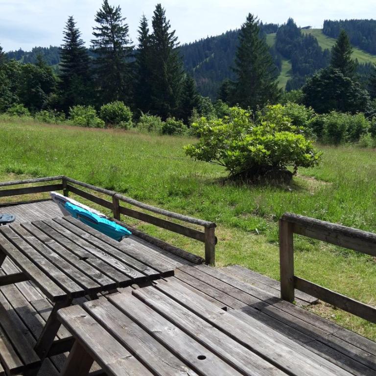 Les Jonquilles: gîte 8/10 pers. avec vue imprenable! - Appartement avec Vue sur la Montagne - 20
