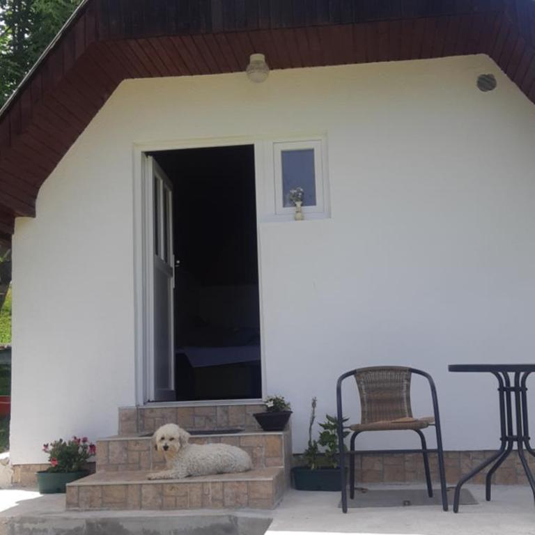 Durmitorski konak - Vacation Home - 16