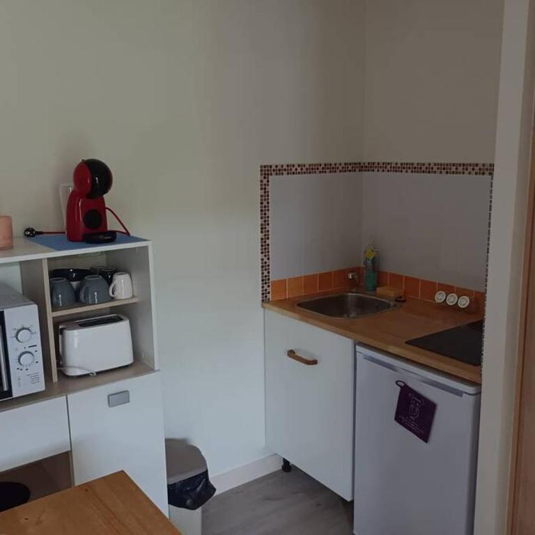 Un paradis de verdure en plein centre ville - Casa con 1 dormitorio - 5
