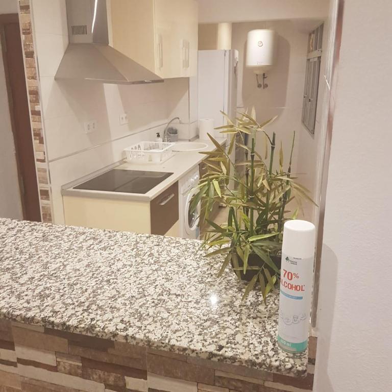 mediterraneo playa - Appartement 3 Chambres - 32