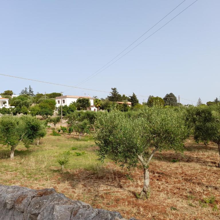 Villa Ottocento Molillo - Three-Bedroom House - 10