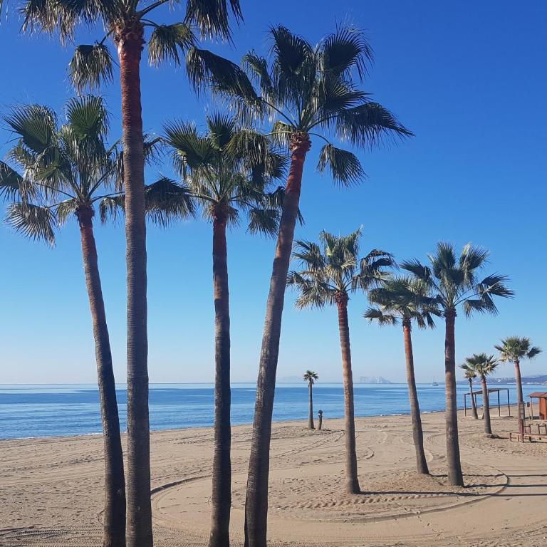 Free Parking, 40 meters from the beach, WI-FI, AC - Apartamento de 1 dormitorio - 1