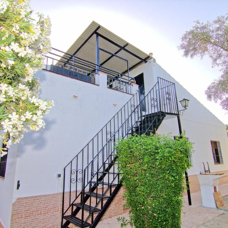 Apartamento Rural Vainilla - Apartamento con terraza - 30