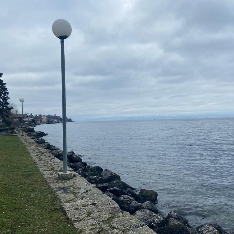 BORD DE LAC,2 chambres SUPERBE VUE LAC 5mn Evian - Appartement 2 Chambres - 31