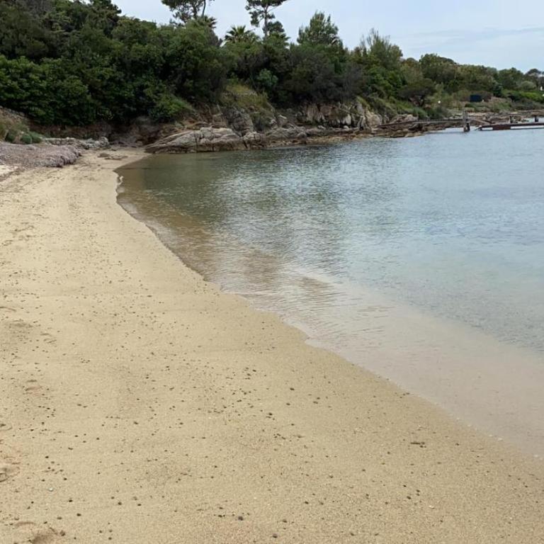 Residence Bouganville Porto Rotondo - Apartment - Ground Floor - 12