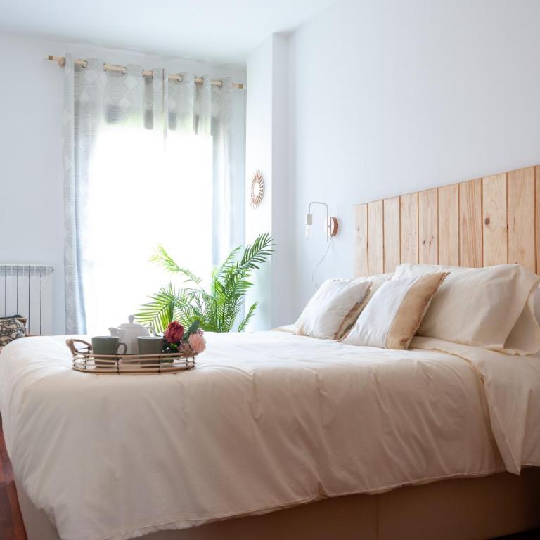Cal Xera - Acollidora planta baixa amb jardí privat i llar de foc - Apartment mit 2 Schlafzimmern - 8