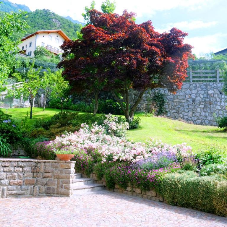 Apartment Weitblick - Alpstay - Appartamento con 1 Camera da Letto - 10
