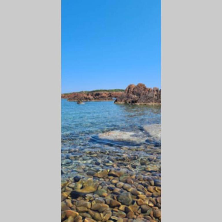 Appartement 2 pièces climatisé en rez-de-jardin Cap Esterel Agay - Appartement 1 Chambre - 52
