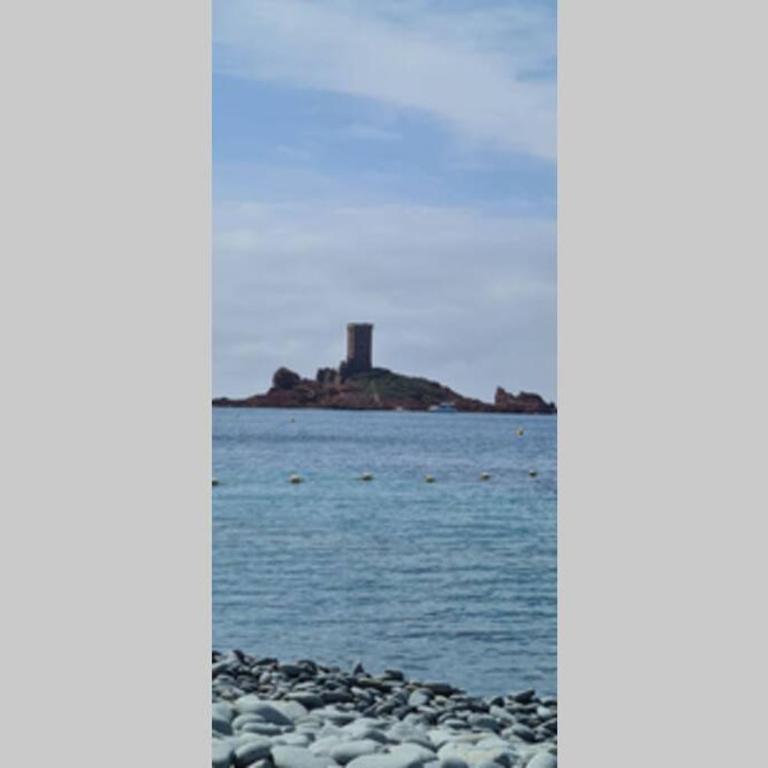 Appartement 2 pièces climatisé en rez-de-jardin Cap Esterel Agay - Appartement 1 Chambre - 57