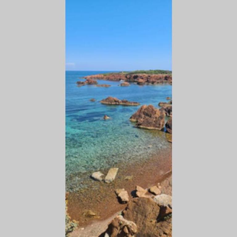 Appartement 2 pièces climatisé en rez-de-jardin Cap Esterel Agay - Appartement 1 Chambre - 60