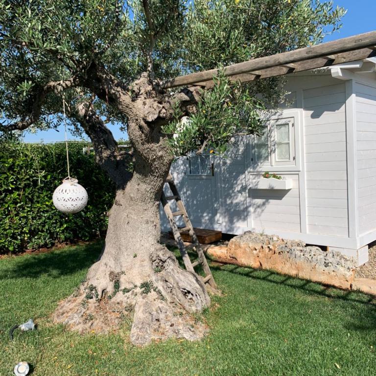 B&B Villa Grassi - Bungalow Deluxe con Vista Giardino - 11