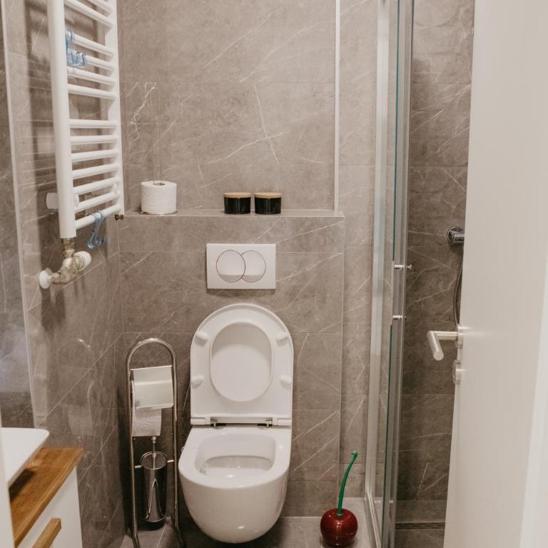 Akro Studio apartman - Apartman sa 1 Spavaćom Sobom - 20