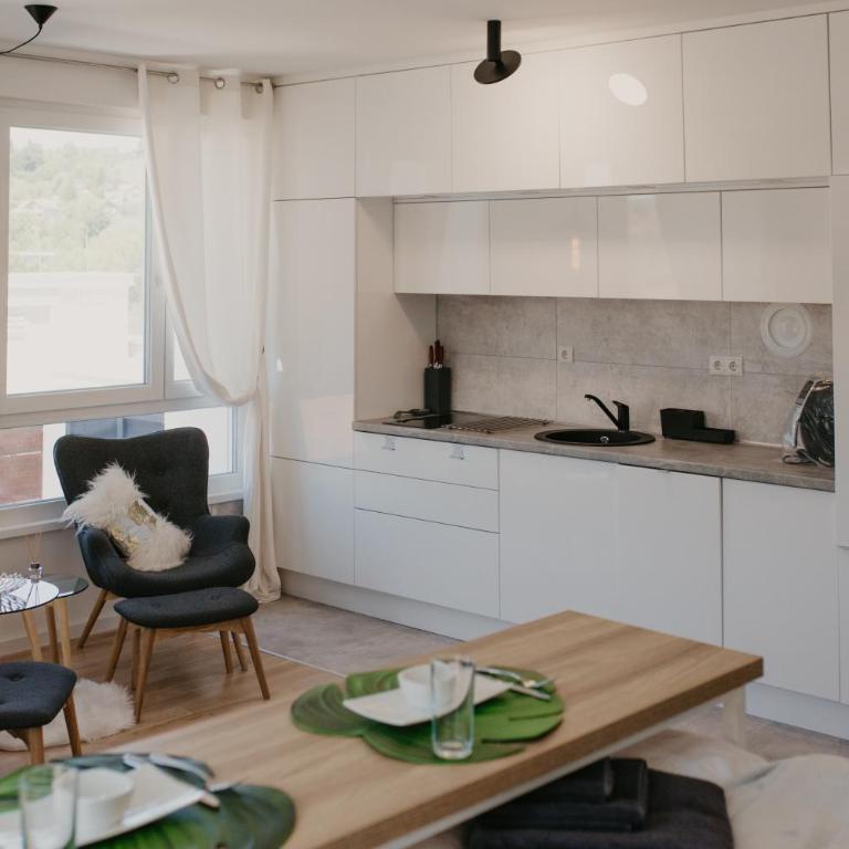 Akro Studio apartman - Apartman sa 1 Spavaćom Sobom - 19