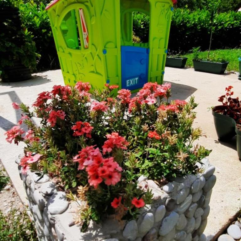 Home Šćekić - Vikendica - 18