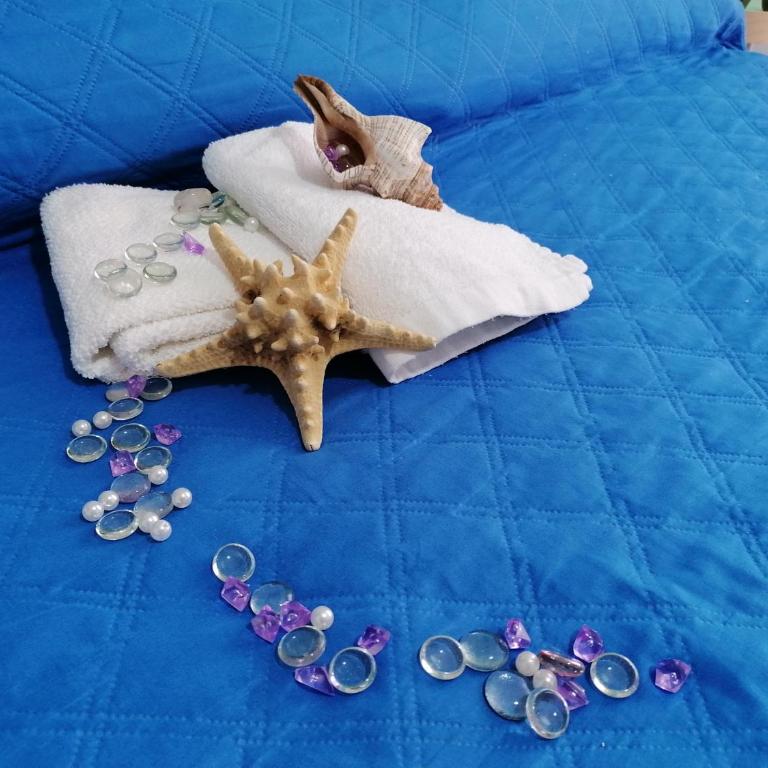 Casa Vacanza Blue Sea - Appartamento - 26