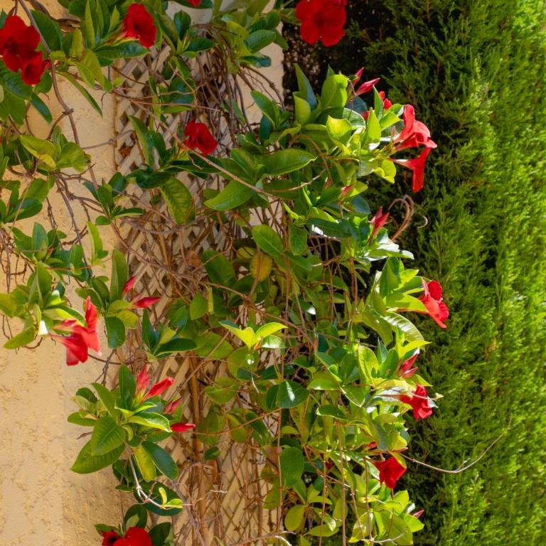 Villa Esturión - Villa - 27
