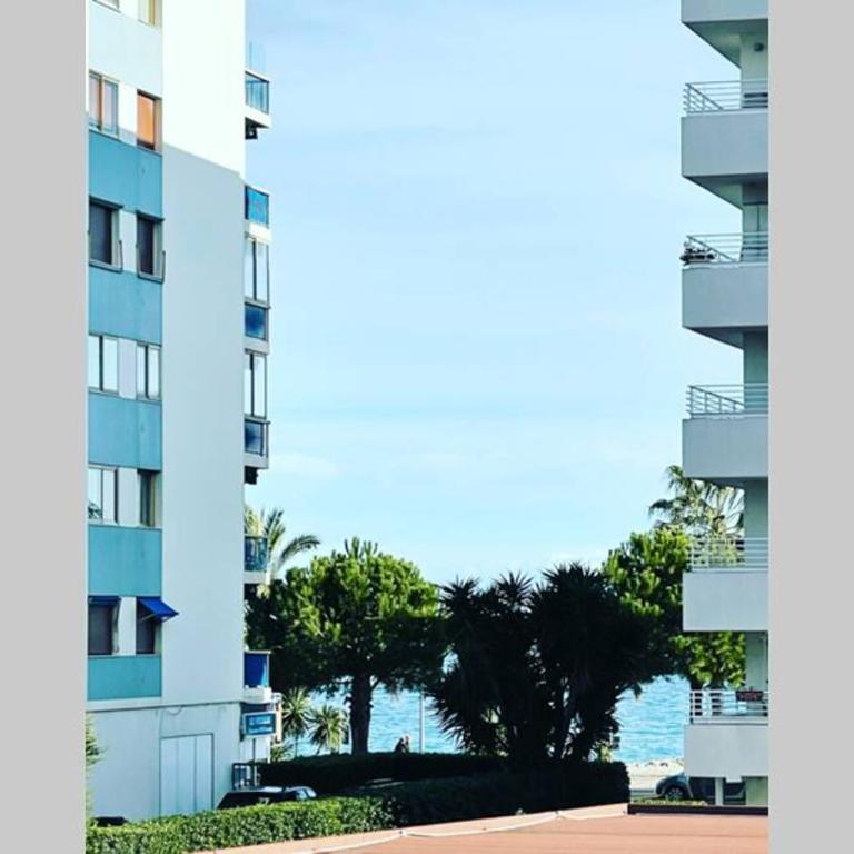 Magnifique 2P à deux pas de la plage - Apartment mit 1 Schlafzimmer - 15