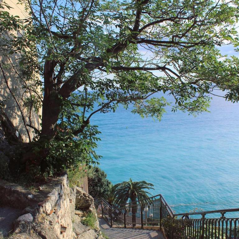 Le Sainson "au coeur de Nice", commerce et plage à pied - Appartement 1 Chambre - 16