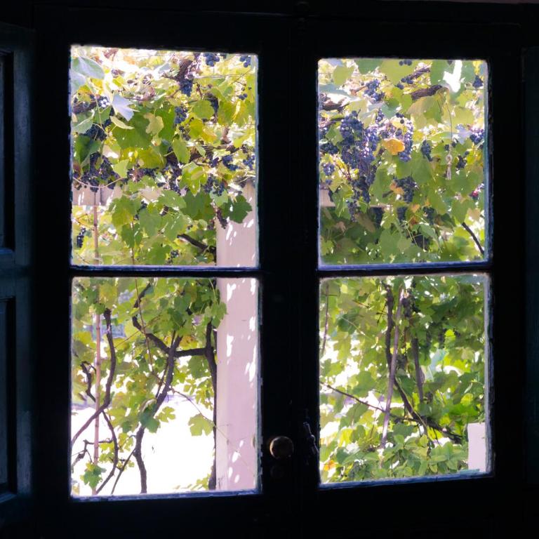 La Casa de Don Pepe - Alojamiento El Parral - 9