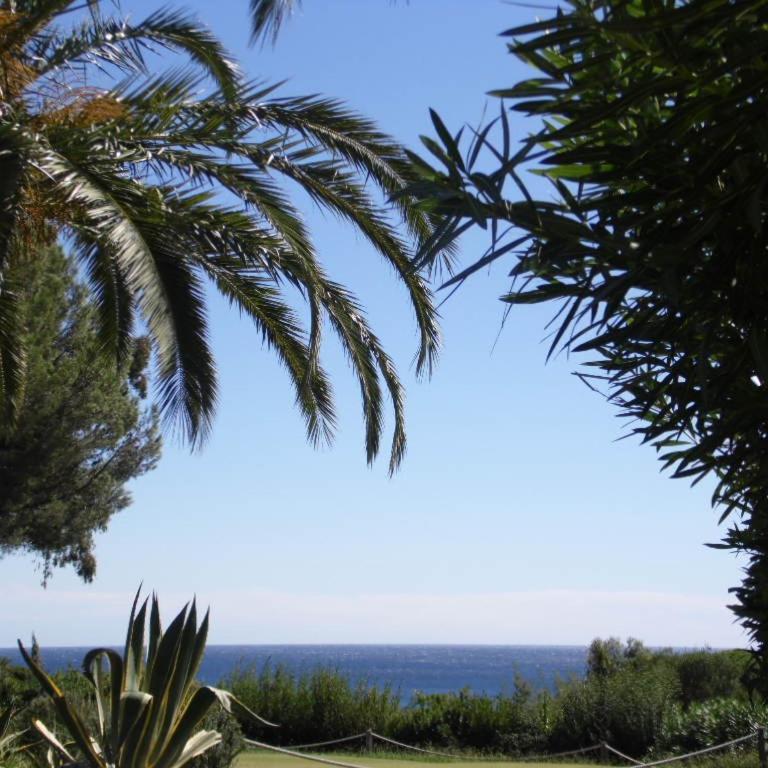 Garden level for 5 people with sea view - Villa - 48