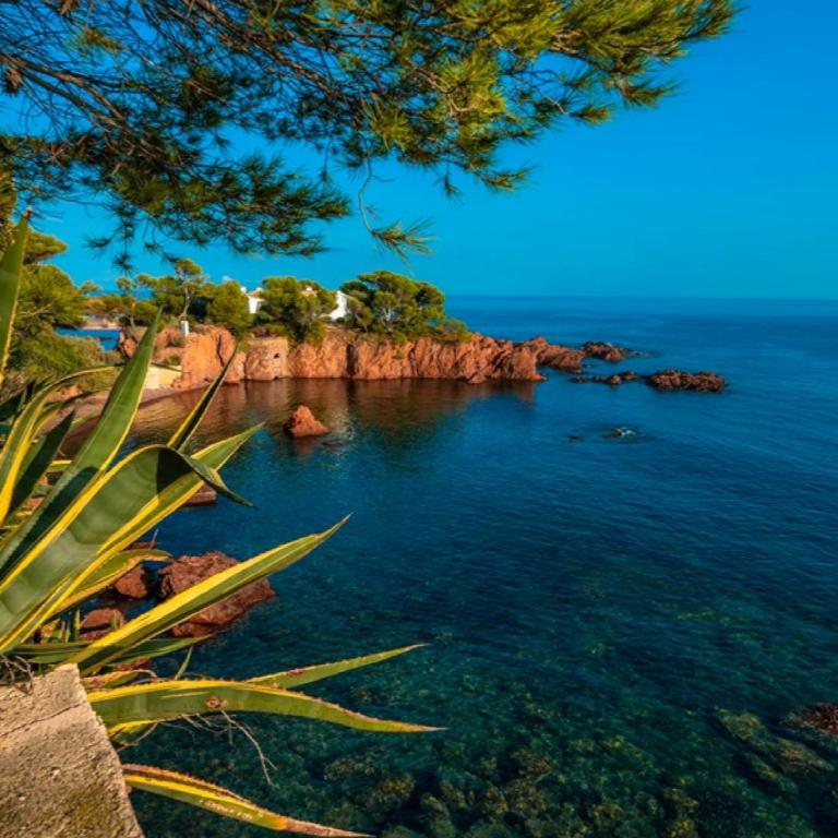Garden level for 5 people with sea view - Villa - 56