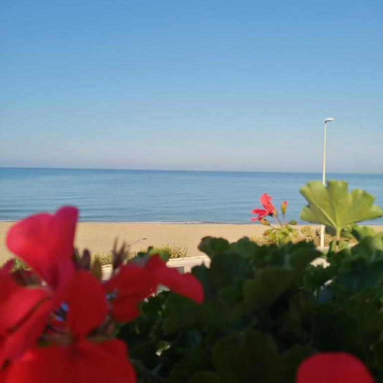 Holiday House Mizzica che mare! - Vacation Home - 14