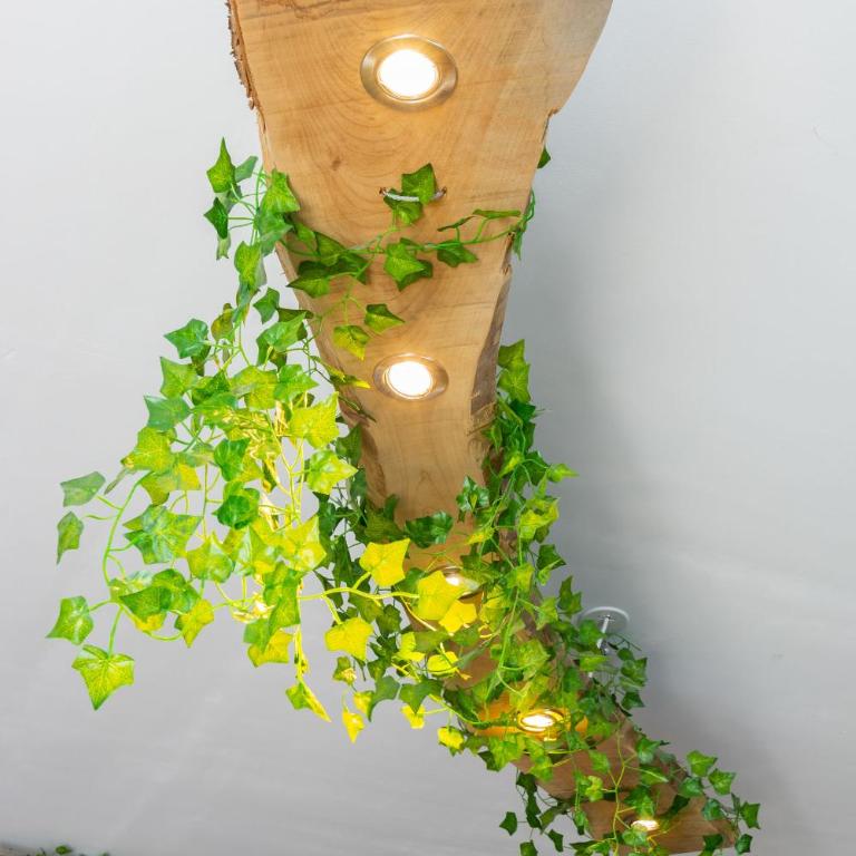L'Amazonia - Domaine Tropical - Studio - 3