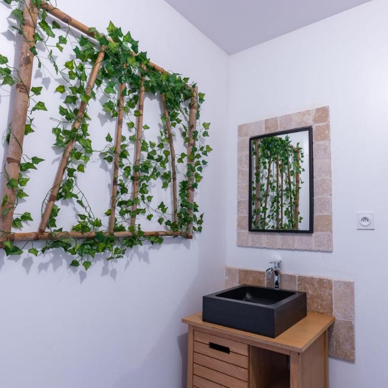 L'Amazonia - Domaine Tropical - Studio - 8