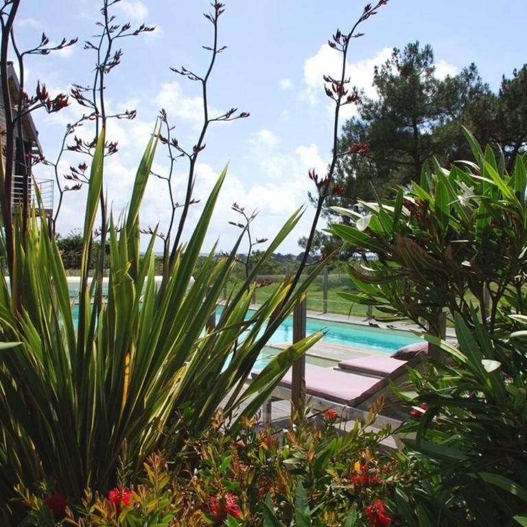 Villa Mané Lann Maison d'hôtes & spa - Appartement - Rez-de-Chaussée - 2