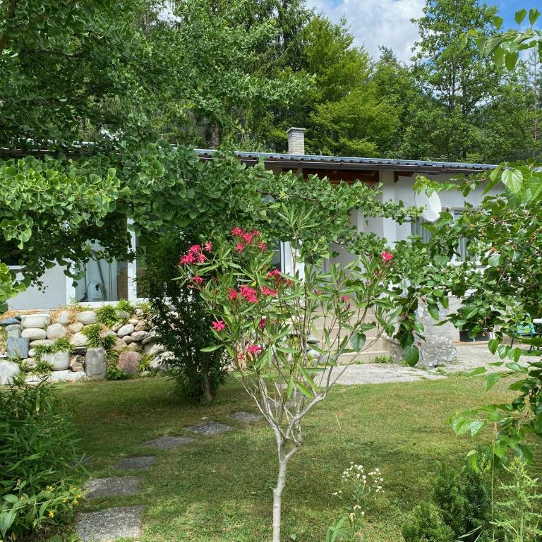 Bungalow Grabner - Ferienhaus - 2