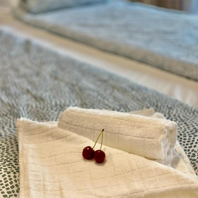 Olive Square Apartment Budva - Apartman sa 1 Spavaćom Sobom - 8