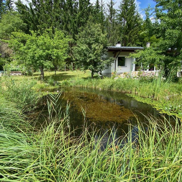 Bungalow Grabner - Ferienhaus - 17