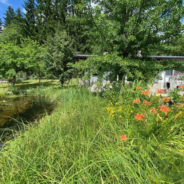 Bungalow Grabner - Ferienhaus - 19
