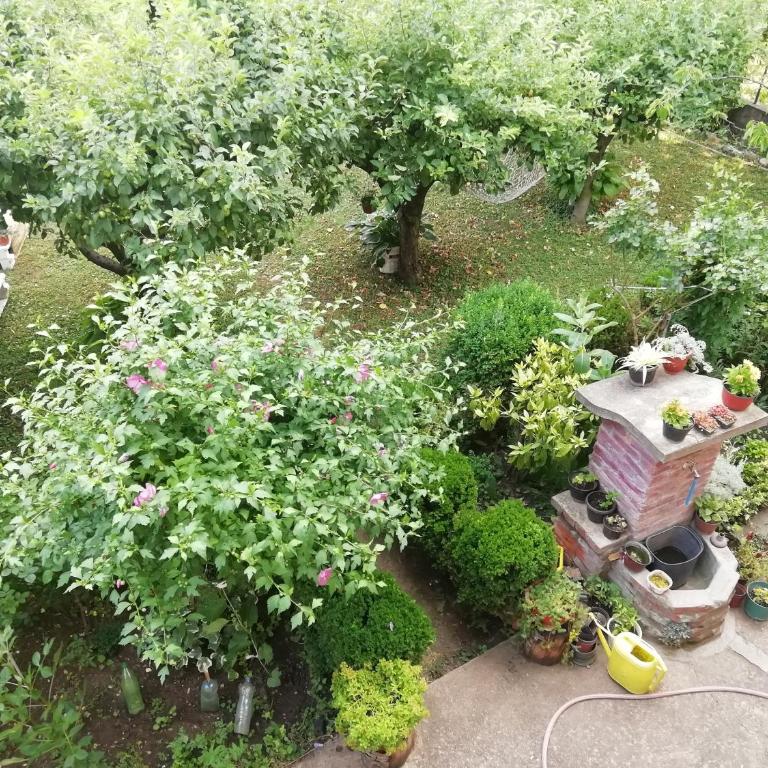 Sokobanja apartman Aviva - Apartman sa 1 Spavaćom Sobom - 20