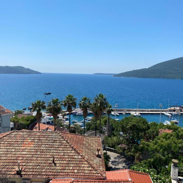 Villa Donna apartments - Apartment - Ground Floor - 3